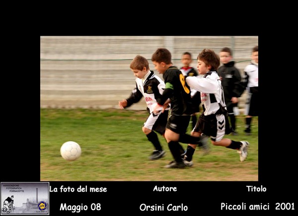 N° (5)  Foto del Mese (Maggio 08) Autore Orsini Carlo   Titolo Piccoli amici 2001.jpg